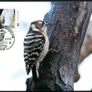 함박초등학교 이미지