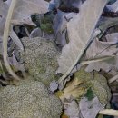 조리농업협동조합 이미지