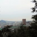 편백나무아래 이미지