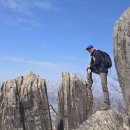 3월22일(아차산,오서산) 12km 오서산의 품에서 비움과 채움 이미지