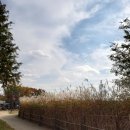 생태공원농장 이미지