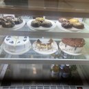 솔티위티 이미지