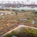 대장천생태하천 이미지