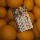 동훈농장 이미지