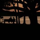 주민행정사사무소 이미지