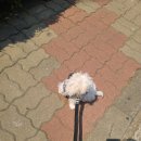 옛날하나방