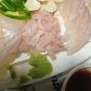 완도회타운 이미지