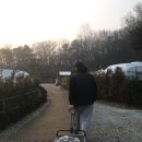 티펜션 | 어반티지 글램핑 카라반 펜션: 사파리 후기｜인천 근교 강화도 감성 글램핑 추천