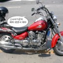 데이스타 이미지