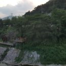 리도203호선 2 이미지