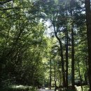 구곡2천 이미지