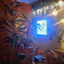 2018-주060 이미지