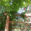 새마을작은도서관 이미지