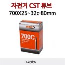 씨에스티 이미지