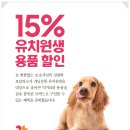 개님살롱 이미지