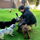 1365. 선잠단지 앞 | 반려마루 여주 유기견 봉사활동 후기