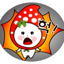 공지로3 이미지