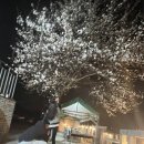 쎄렌체 팬션 이미지