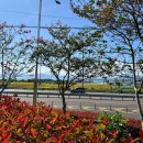 남양광장 이미지