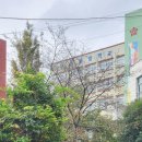 톳고개로 이미지