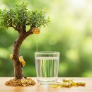 청수양행 | 보크-100 보스웰리아: AKBA, KBA 함량 높은 추천 제품과 구매 팁!