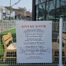 용성길 | [평택 안중] 애견 카페 추천, 조댕이네