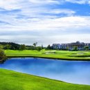 현플라워 이미지