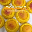 남원농장 | 여름 제철 과일 끝판왕! 과즙 팡팡 터지는 “송동농장” 국내산 신비복숭아 후기