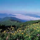 ﻿[新택리지]지리산, 섬진강이 낳은 자연환경 ‘삼대삼미(三大三美)의 고장, 구례’ 이미지