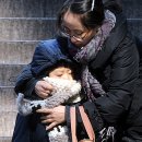 서울유치원 이미지