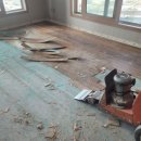 조천북로 | [창원철거] 제이종합개발 / 아파트 마루 철거부터 폐기물 처리까지 완벽하게 끝낸 솔직 후기!!! 🏗️✨