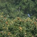 종규농장 이미지