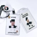수미연