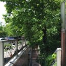 넝쿨공인중개사사무소 이미지