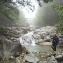 백운계곡 이미지