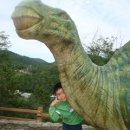 고성공룡박물관야영장 이미지