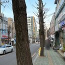 동키네숯불구이마켓