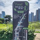 철길숲 | [포항] 시민들의 산책로, 포항 철길숲 솔직후기