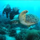 스쿠바민박 이미지