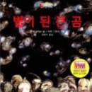 그레더