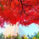 힐타운 공인중개사사무소 이미지