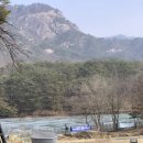 가비가배 이미지