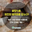 한결식품
