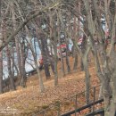 11650-16-96-6 | 예산 아이와 가볼만한곳 | 예당호 출렁다리 모노레일 주말후기