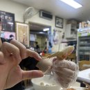 영기축산 | 【9월의 기록】 느즈막히 여름 스노쿨링, 삼척 여행, 신사 맛집과 상봉 맛집으로 나만의 먹을텐데