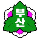 부산초등학교 이미지