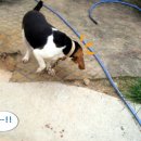 준모농장 이미지