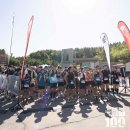 초원약수터 | 2025 TNF강원100 50k 뛰고 온 후기