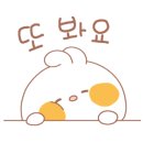 돈테일러익스프레스 이미지