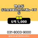 솔빛중교 이미지